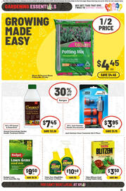 IGA catalogue week 48 Page 29