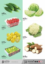 Nesto catalogue Page 3