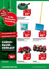 Der Grissemann Flugblatt Seite 10