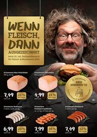 Der Grissemann Flugblatt Seite 6