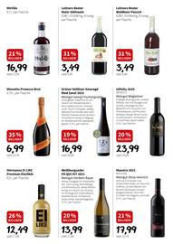 Der Grissemann Flugblatt Seite 8