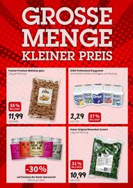 Der Grissemann Flugblatt Seite 9