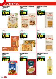 Volantino Coop Master Alleanza 3.0 Pagina 19