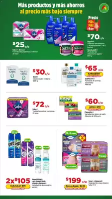 Folleto Bodega Aurrerá (válido hasta 1-01)