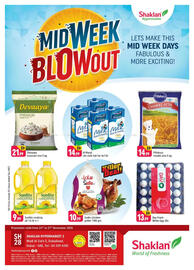 Shaklan leaflet Page 1