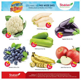 Shaklan leaflet Page 3