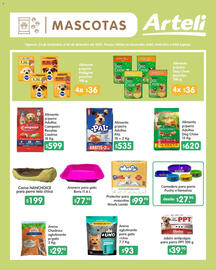 Folleto Arteli Página 17