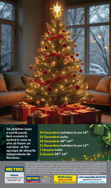 Catalog Metro Pagină 36