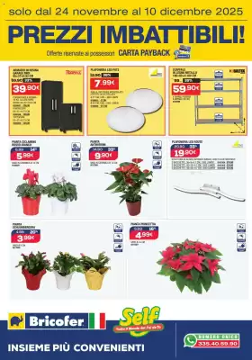 Volantino Bricofer (valido fino al 10-12)