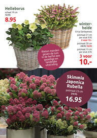 Deka Tuin folder Pagina 6