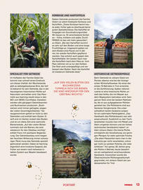 MPreis Flugblatt Seite 13