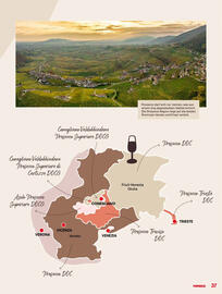 MPreis Flugblatt Seite 37