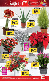 Polomarket gazetka tydzień 48 Strona 19