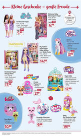 Rossmann DE folder Pagina 13