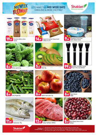 Shaklan leaflet Page 2