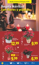 Catálogo Lidl semana 49 Página 52