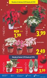 Catálogo Lidl semana 49 Página 53