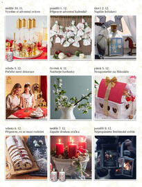 Decodoma leták Strana 3