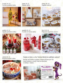 Decodoma leták Strana 5