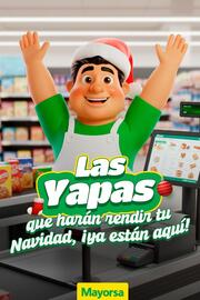 Catálogo Mayorsa semana 48 Página 1