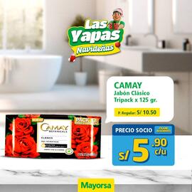 Catálogo Mayorsa semana 48 Página 2