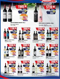 Revista Maxiconsumo Página 21