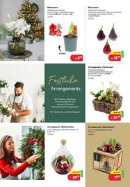 BayWa Prospekt Seite 11