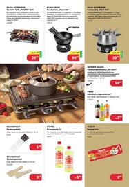 BayWa Prospekt Seite 13