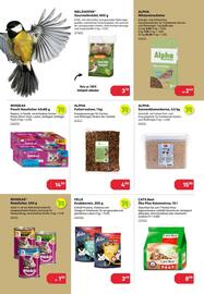 BayWa Prospekt Seite 19