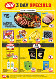 IGA catalogue Page 1