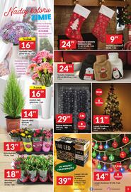 Twój Market gazetka tydzień 48 Strona 3