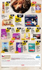 Albert leták týden 48 Strana 41