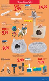 Catálogo Lidl semana 49 Página 21
