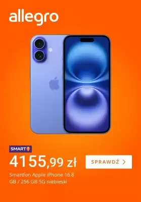 Allegro gazetka (ważność do 1-12)