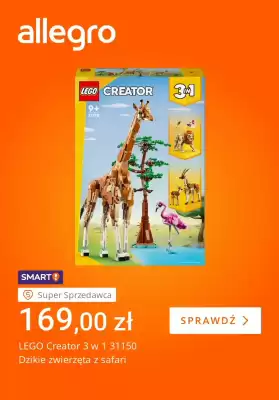 Allegro gazetka (ważność do 1-12)