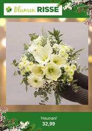 Blumen Risse Prospekt Seite 11