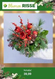 Blumen Risse Prospekt Seite 2