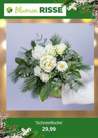 Blumen Risse Prospekt Seite 4