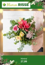 Blumen Risse Prospekt Seite 7