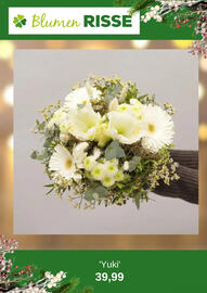 Blumen Risse Prospekt Seite 8