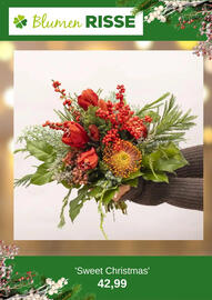Blumen Risse Prospekt Seite 9