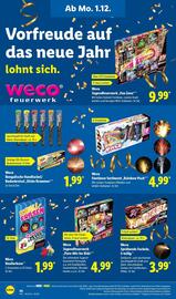 Lidl Prospekt woche 49 Seite 42