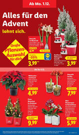 Lidl Prospekt woche 49 Seite 67