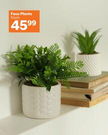 Sheet Street catalogue week 48 Page 5