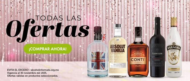 Folleto Bodegas Alianza semana 48 Página 1