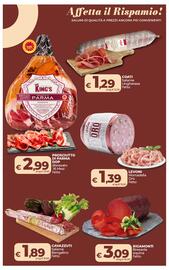 Volantino Ipercoop Radenza Pagina 17