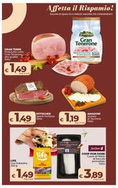 Volantino Ipercoop Radenza Pagina 18