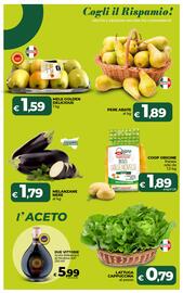 Volantino Ipercoop Radenza Pagina 22