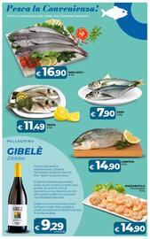 Volantino Ipercoop Radenza Pagina 24