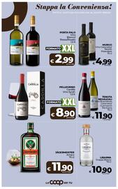 Volantino Ipercoop Radenza Pagina 38